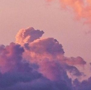 Meet your Posher, Latasha